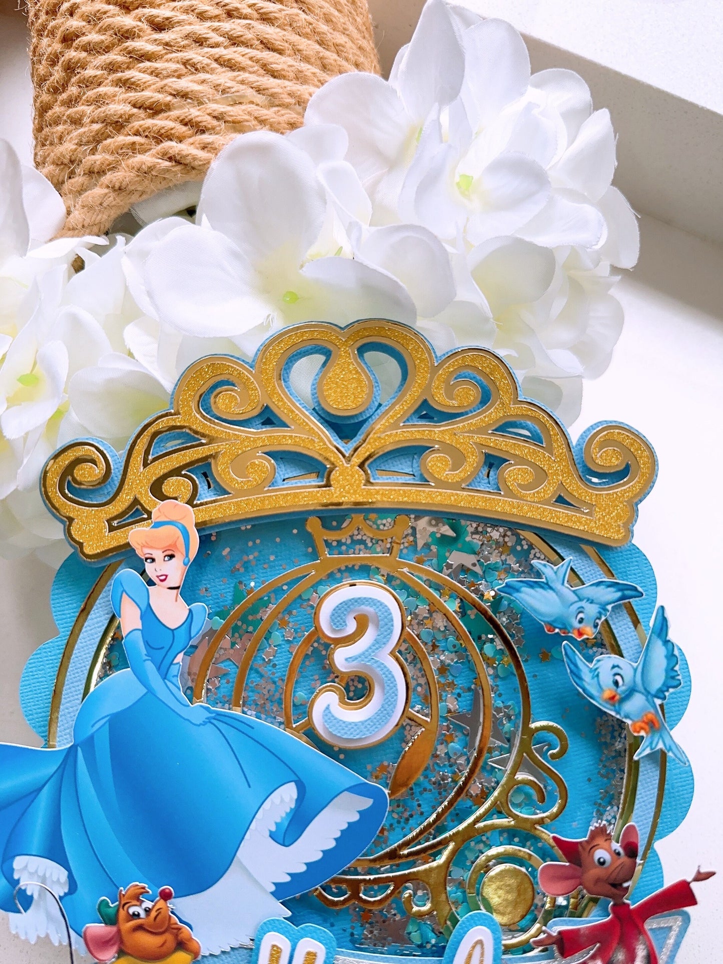 Cinderella Princess