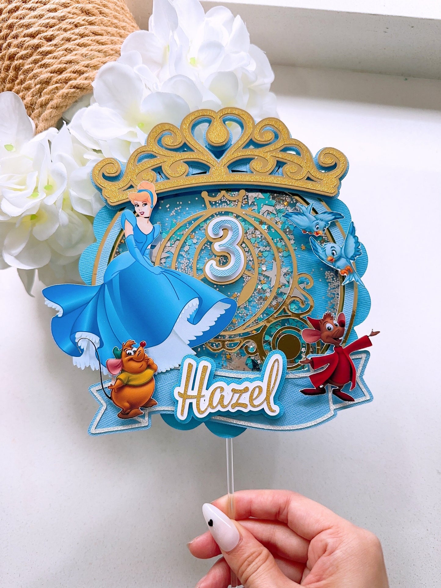 Cinderella Princess