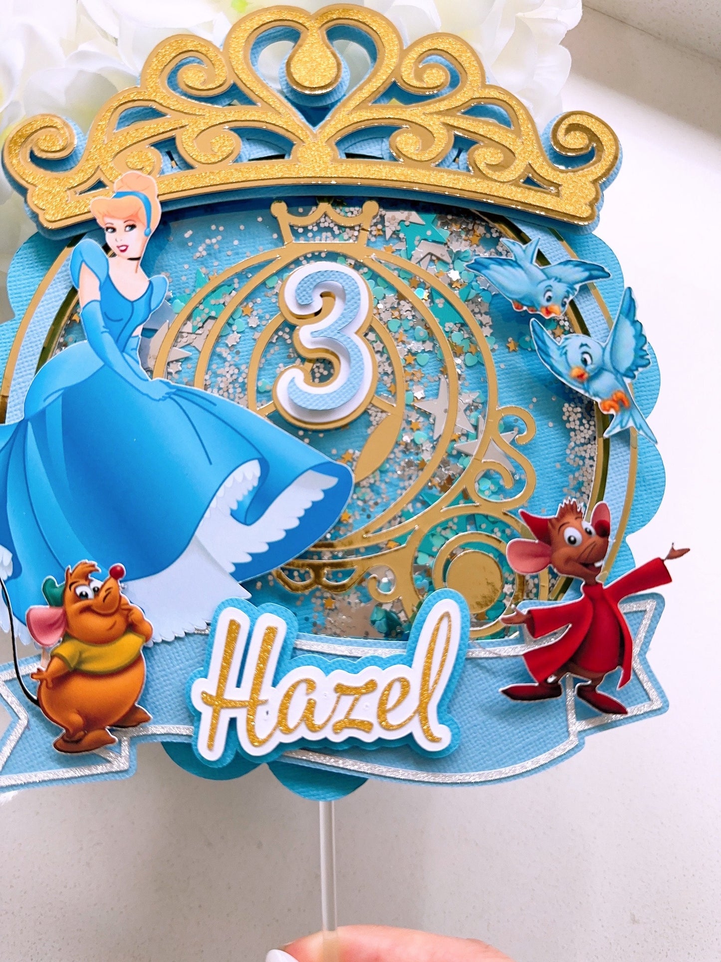 Cinderella Princess